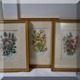 A15. Set of 3 framed floral botanicals. 14.5&rdquo;h x 10.5&rdquo;w 